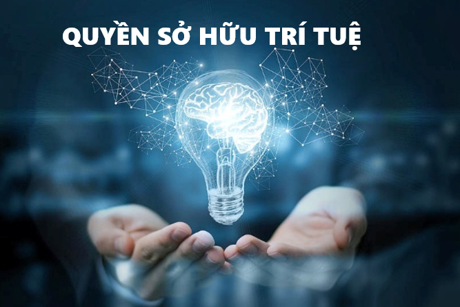 Lào Cai tăng cường thực thi quyền sở hữu trí tuệ, bảo vệ môi trường đầu tư kinh doanh