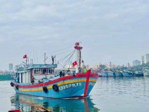 Áp dụng Nghị định 246, siết mạnh chế tài xử phạt thủy sản để gỡ "thẻ vàng" IUU