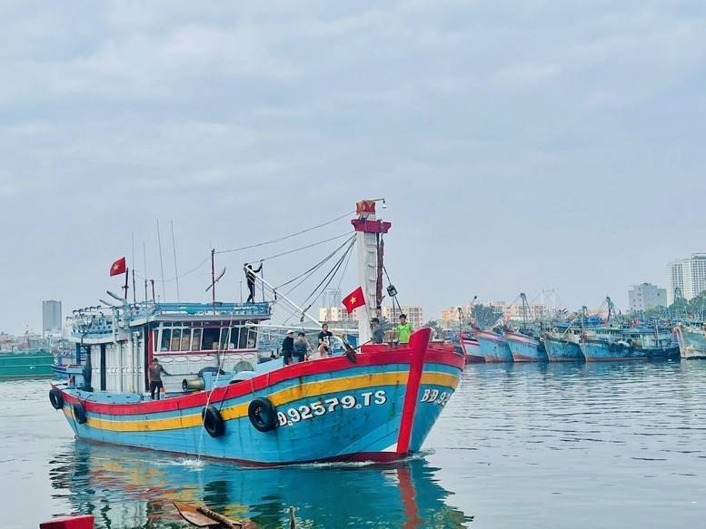Áp dụng Nghị định 246, siết mạnh chế tài xử phạt thủy sản để gỡ "thẻ vàng" IUU