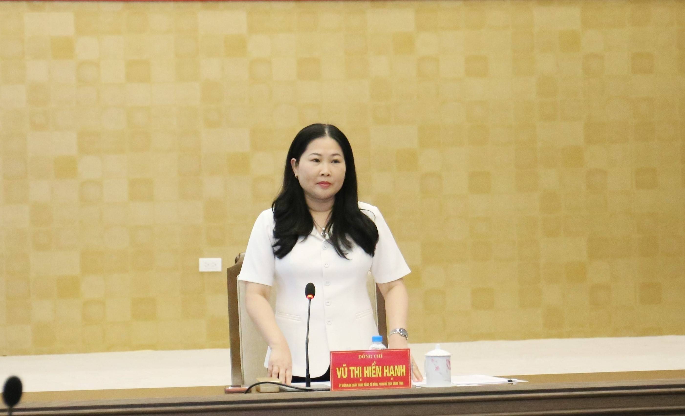 Kết luận cuộc họp, Phó Chủ tịch UBND tỉnh Vũ Thị Hiền Hạnh