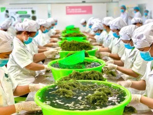 Tỉnh Khánh Hòa đẩy mạnh chiến lược đưa sản phẩm thế mạnh vào thị trường Halal toàn cầu