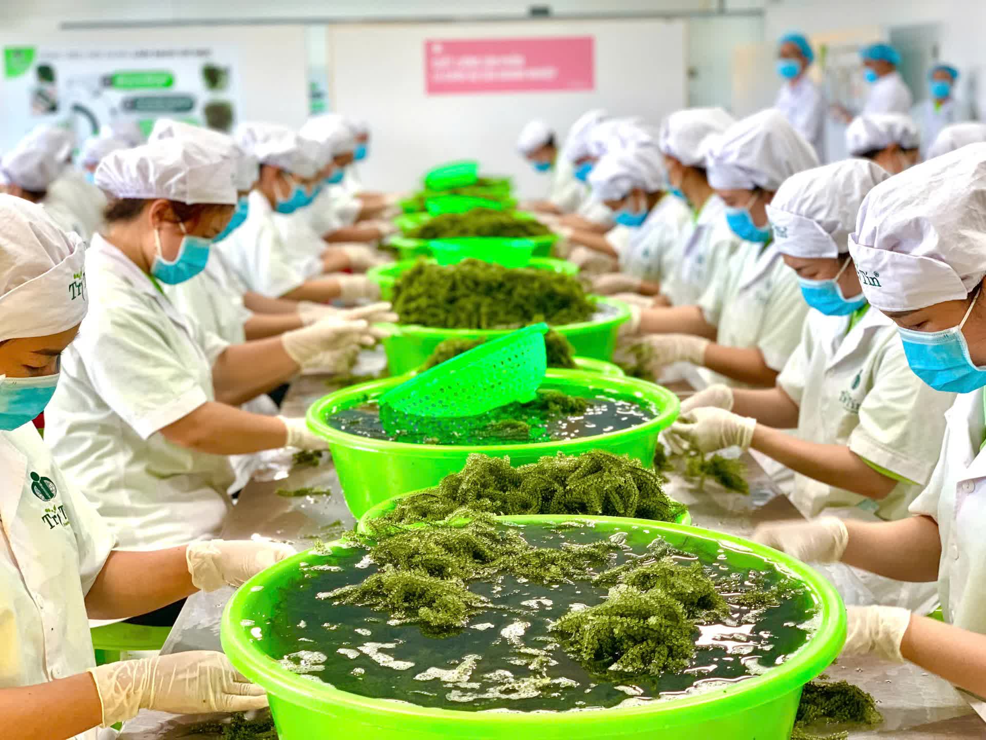 Tỉnh Khánh Hòa đẩy mạnh chiến lược đưa sản phẩm thế mạnh vào thị trường Halal toàn cầu