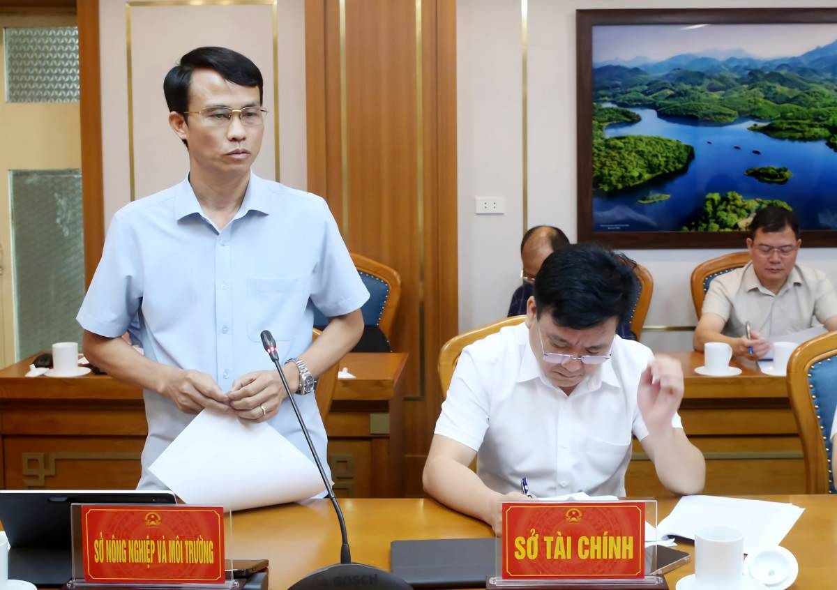 Phú Thọ định vị thương hiệu “Trà Đất Tổ”