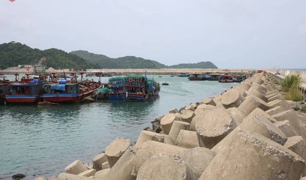 Quảng Ninh, Hải Phòng khẩn trương ứng phó bão số 1: Tạm cấm biển, kiểm đếm hơn 1.600 tàu thuyền