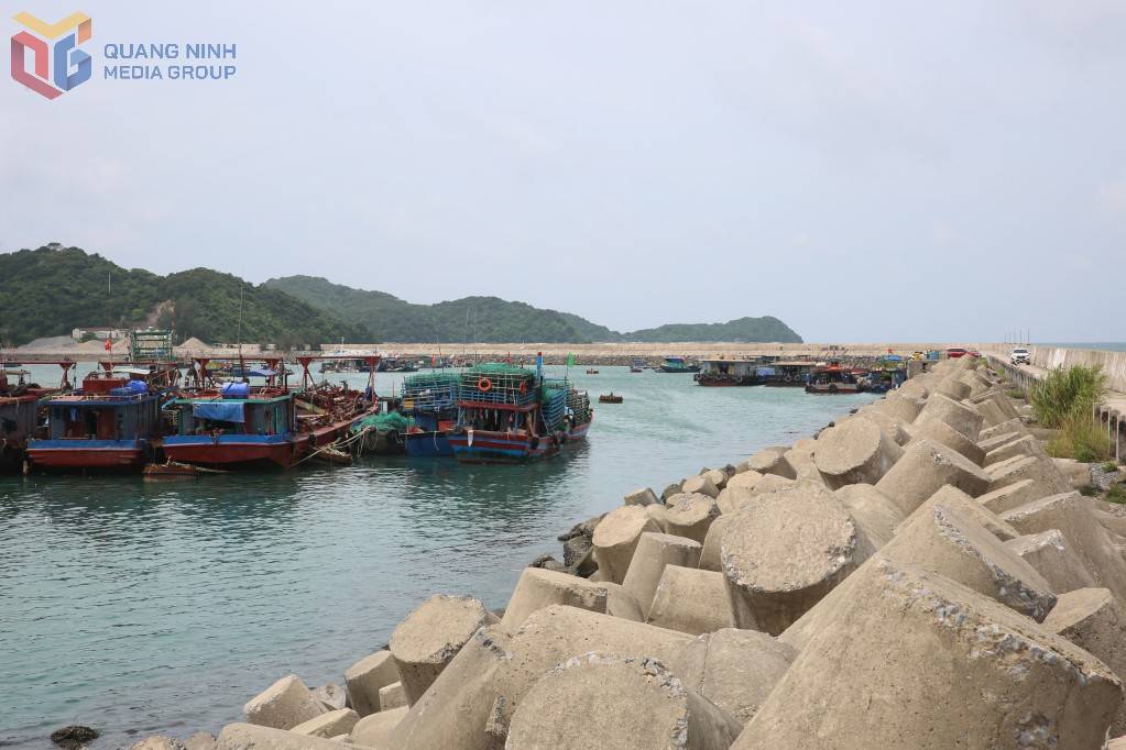 Quảng Ninh, Hải Phòng khẩn trương ứng phó bão số 1: Tạm cấm biển, kiểm đếm hơn 1.600 tàu thuyền