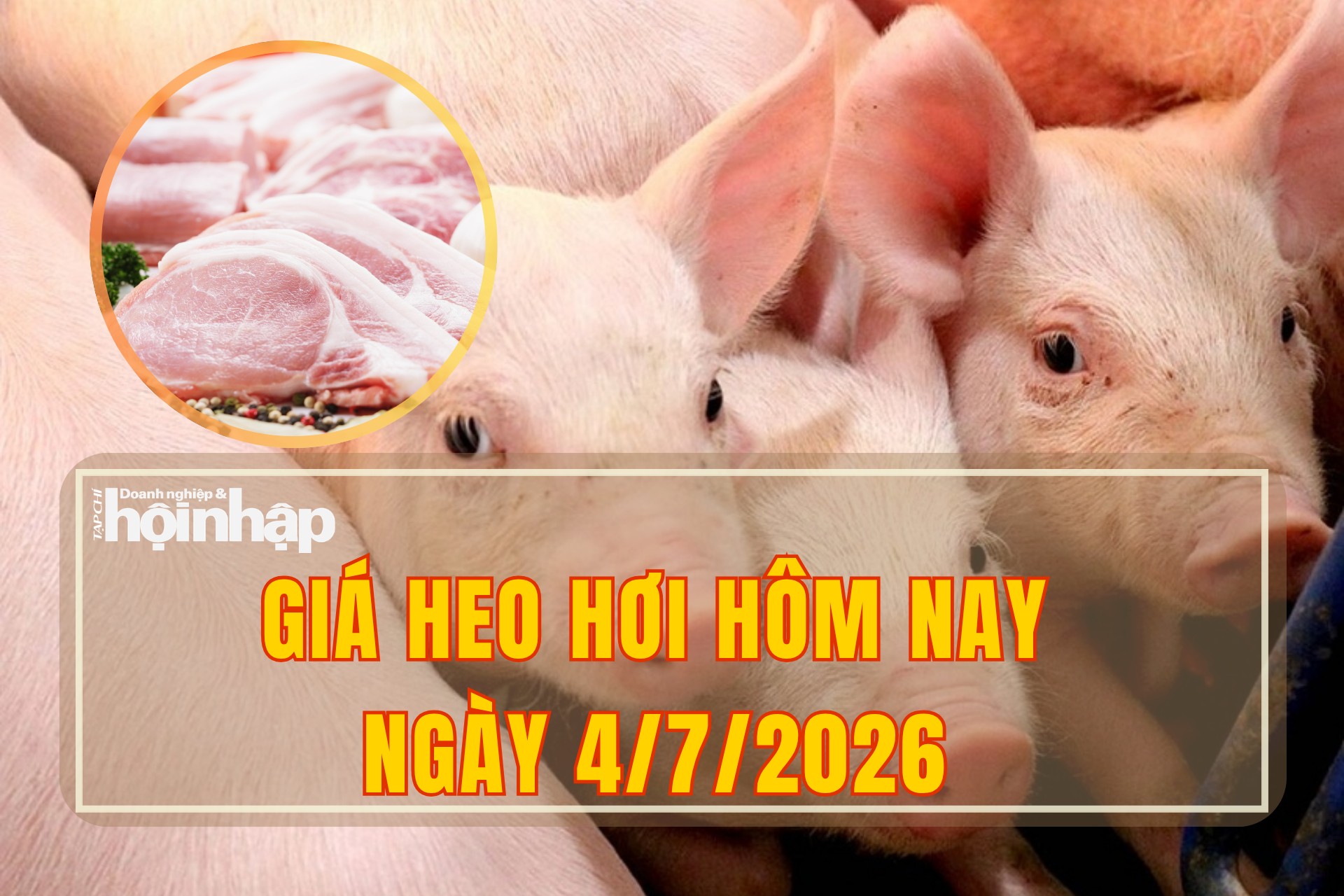 Giá heo hơi hôm nay 4/7/2026: Thị trường biến động trái chiều
