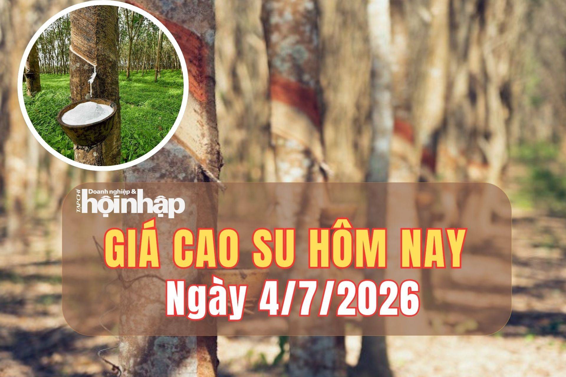 Giá cao su hôm nay 3/7/2026: Thế giới tăng giảm trái chiều, trong nước đi ngang