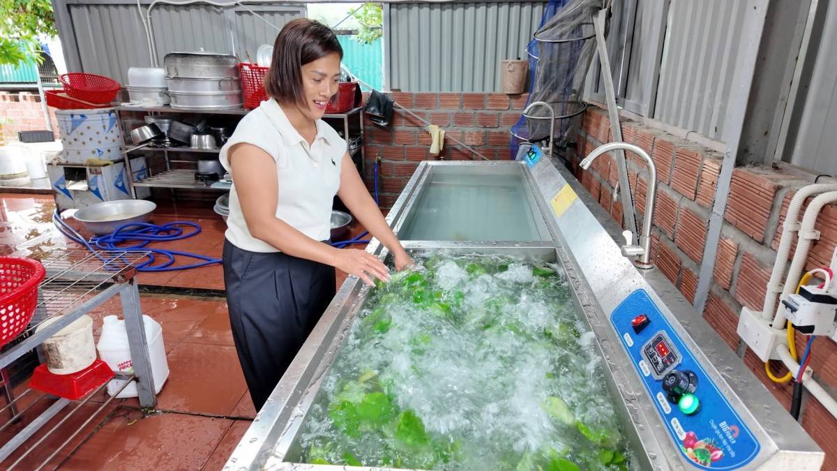 Các đầu bếp tất bật chế biến những món ăn mang hương vị gia đình trong lúc mưa bão bao trùm khắp đảo.