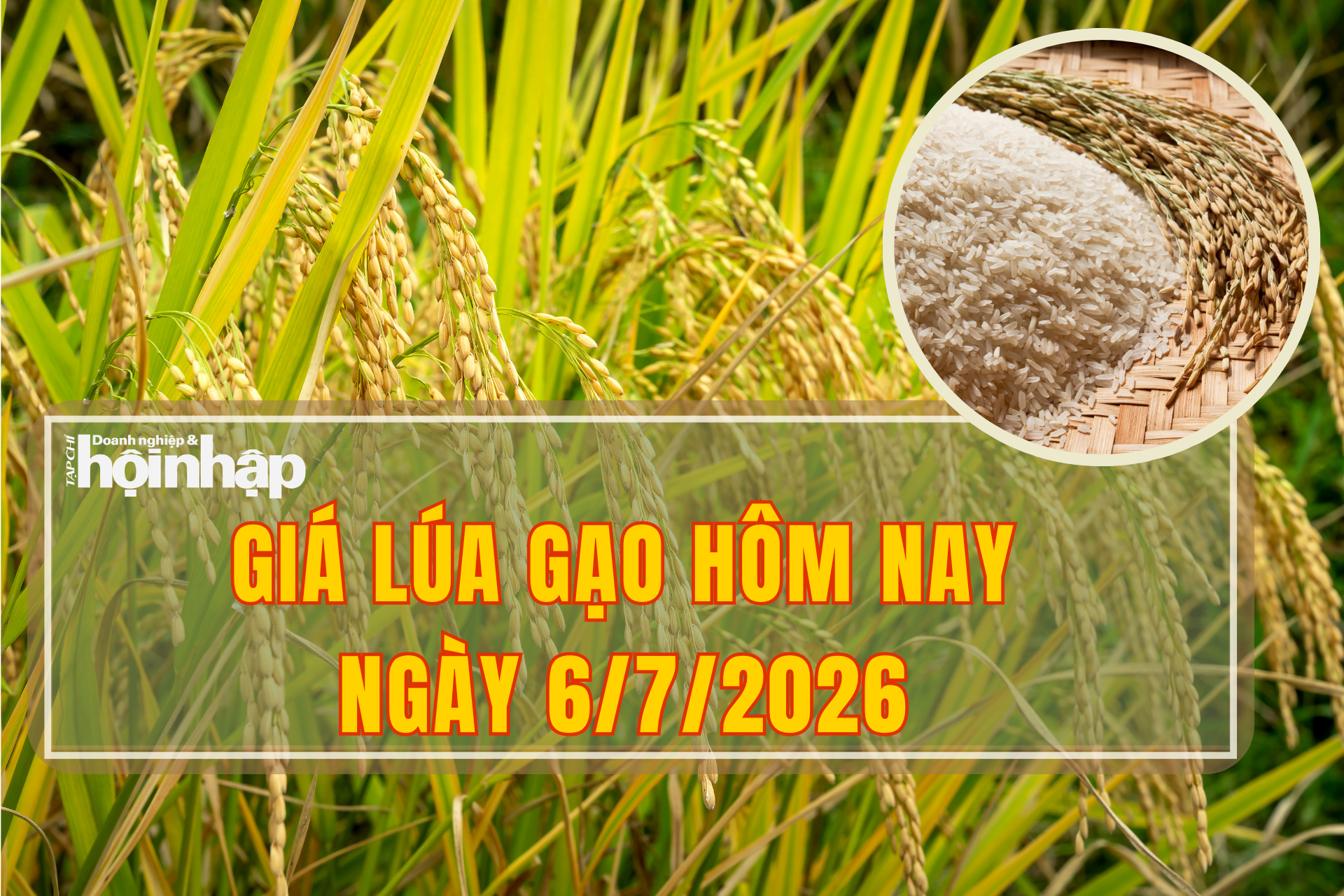 Giá lúa gạo hôm nay 6/7/2026: Đầu tuần vững giá