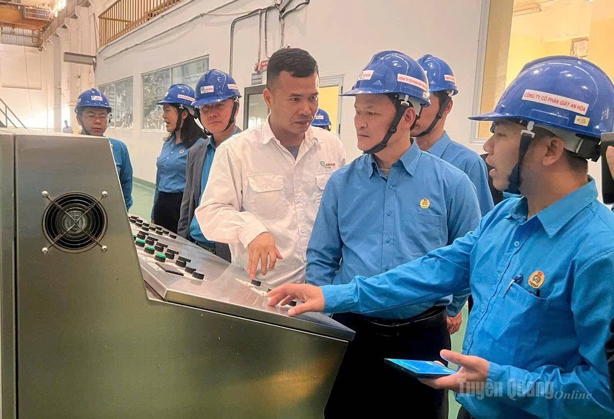 Tuyên Quang nâng cao kỹ năng số cho người lao động, tạo động lực tăng năng suất và sức cạnh tranh