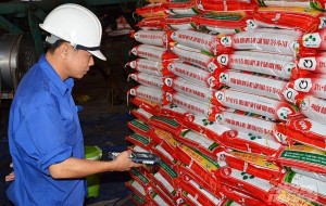 Phú Thọ kiểm tra đột xuất hoạt động sản xuất, kinh doanh phân bón
