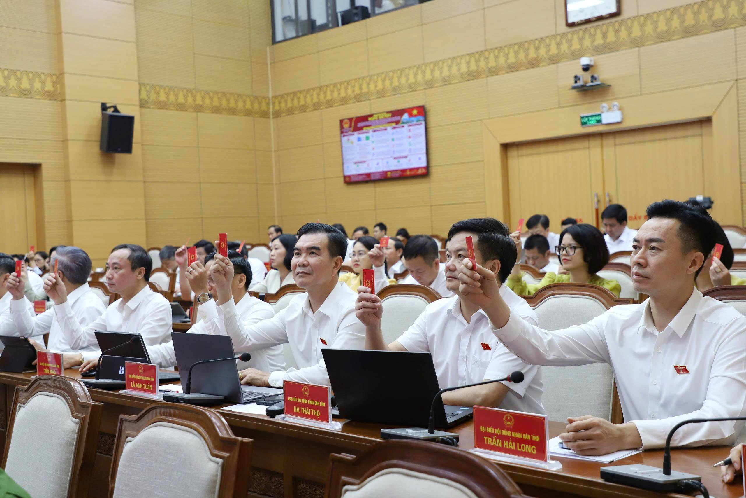 Các đại biểu HĐND tỉnh  biểu quyết thông qua Nghị quyết