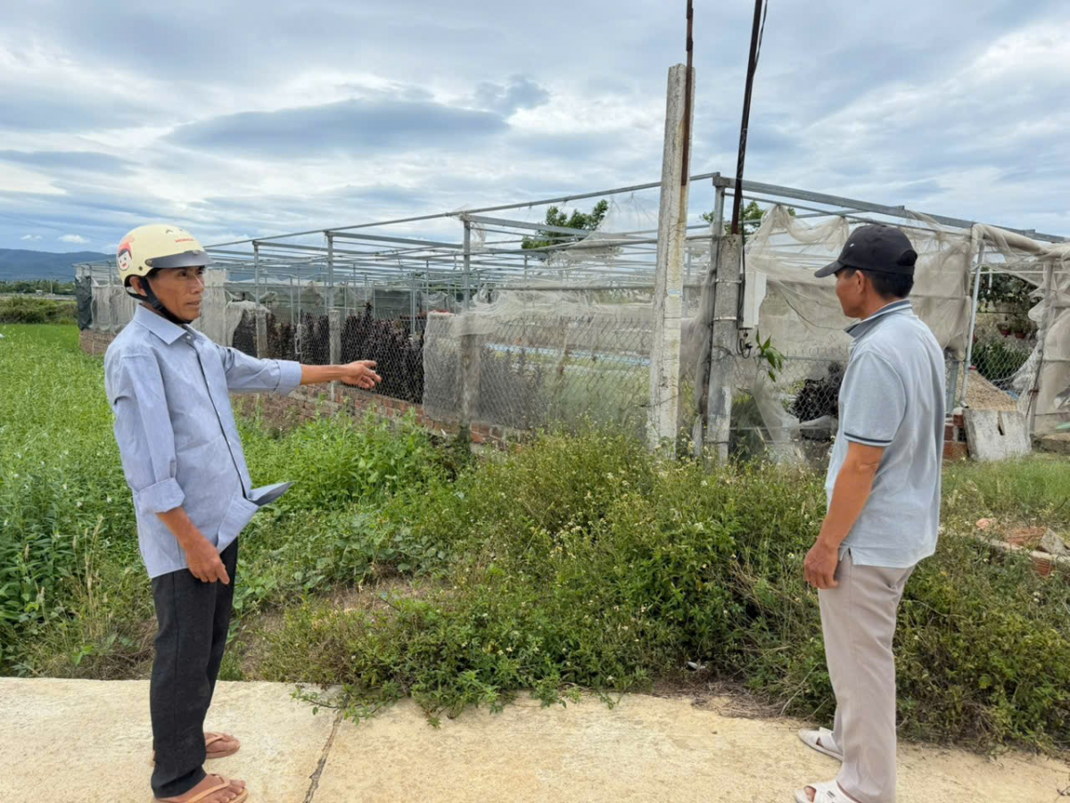 Gia Lai: Bản án tranh chấp đất đã có hiệu lực nhưng thi hành án vẫn kéo dài