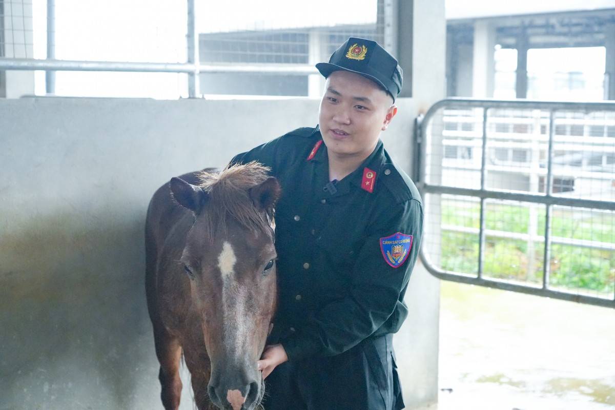 Cuộc chuyển giao đầy cảm xúc giữa hai thế hệ ngựa kỵ binh