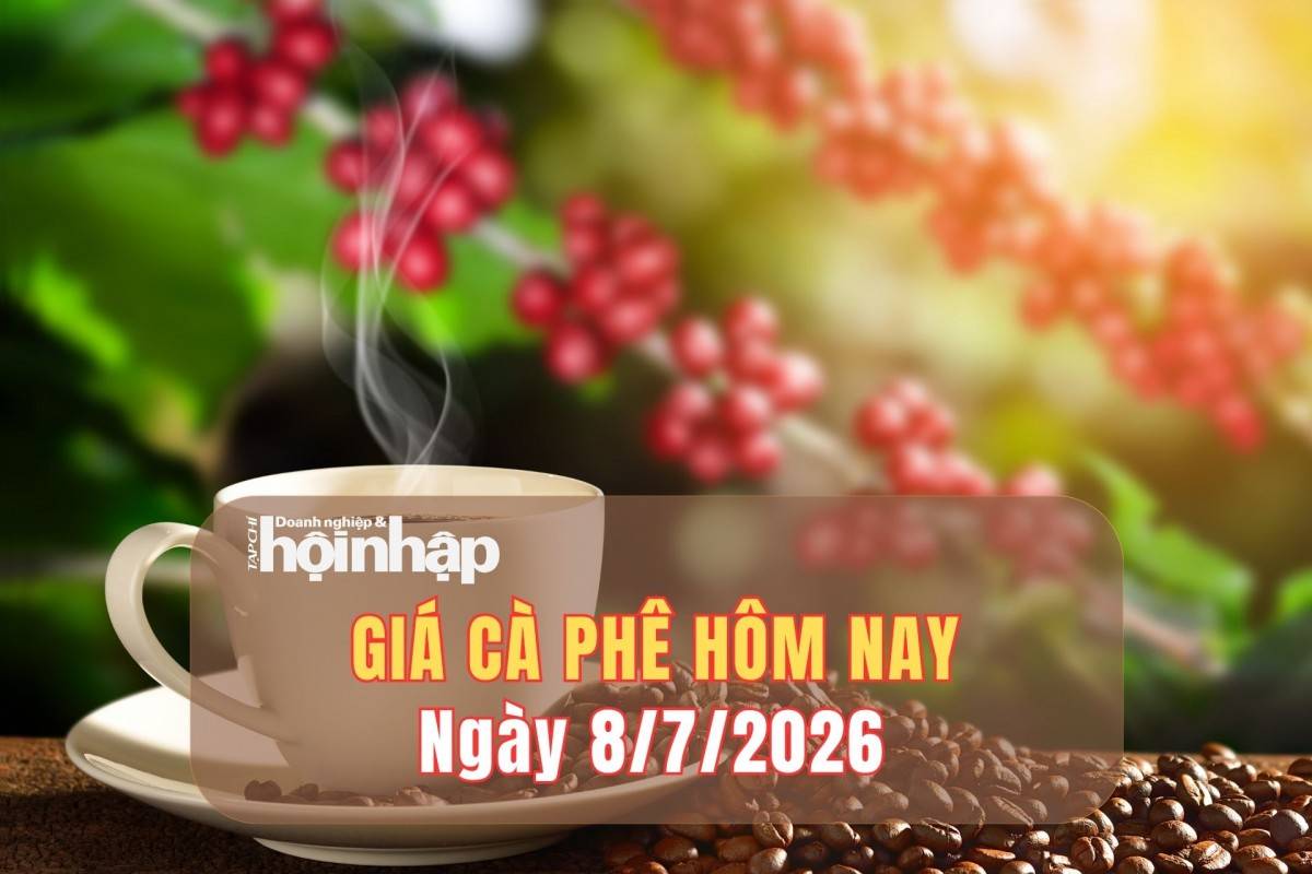 Giá cà phê hôm nay 7/7/2026: Neo vùng giá cao, cao nhất 93.000 đồng/kg