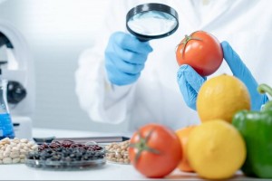37 cơ sở kiểm nghiệm Việt Nam được GACC chấp thuận, tạo thuận lợi cho xuất khẩu trái cây sang Trung Quốc