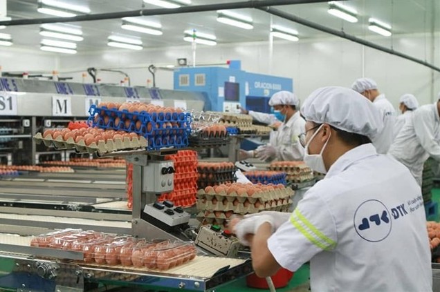 Ngân hàng rao bán cổ phần doanh nghiệp sở hữu nhà máy trứng sạch nghìn tỷ