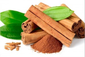 Liên kết chuỗi giá trị, Hợp tác xã Nông sản xanh Mậu A nâng tầm quế Lào Cai trên thị trường quốc tế