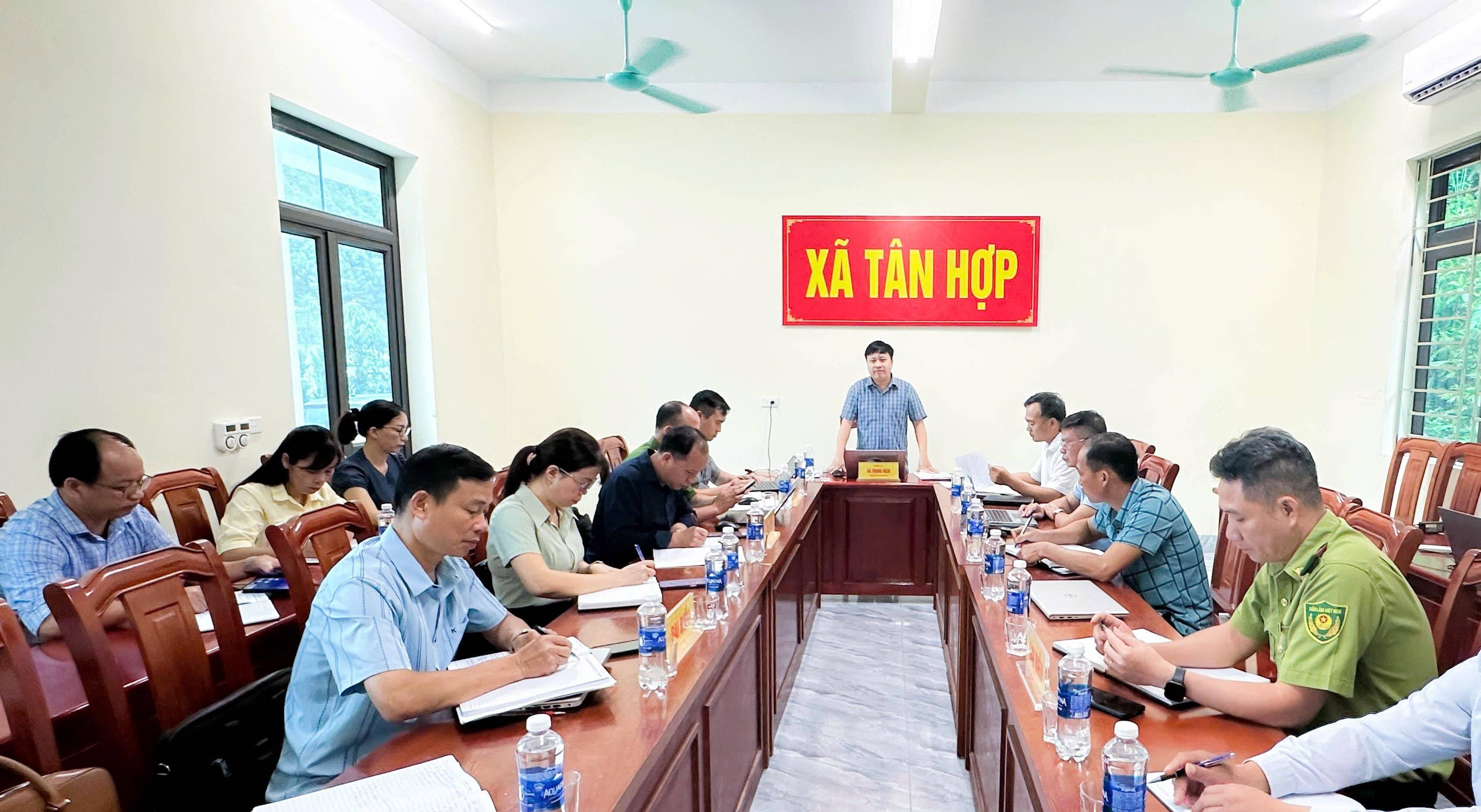 Tân Hợp (Lào Cai) khai thác hiệu quả lợi thế địa phương, tạo nền tảng bứt phá trong năm 2026