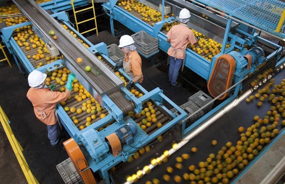 Sucocítrico Cutrale sở hữu hệ thống vườn cam, nhà máy chế biến, kho lạnh và mạng lưới logistics quy mô lớn tại Brazil, tạo lợi thế kiểm soát nguồn nguyên liệu từ nông trại đến sản phẩm cuối cùng
