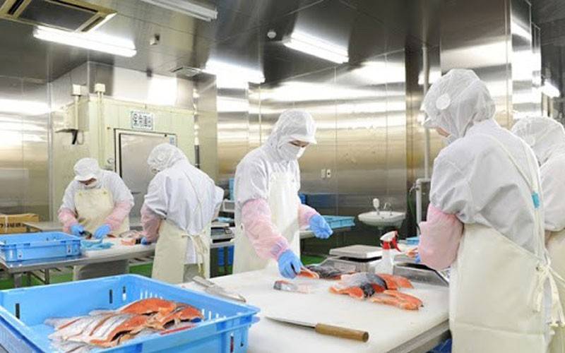 Nghịch lý của ngành thủy sản năm nay là đơn hàng đang phục hồi nhưng lợi nhuận chưa chắc tăng tương ứng.
