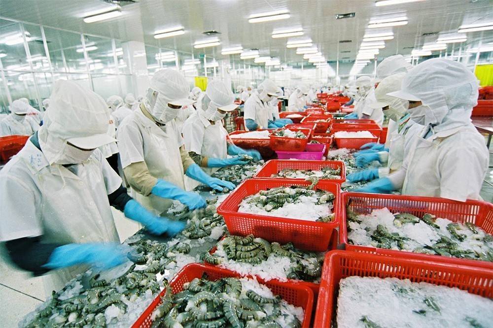 Đơn hàng thủy sản ồ ạt quay lại nhưng doanh nghiệp ôm nỗi lo cước tàu tăng vọt