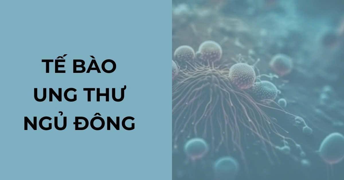 Tế bào ung thư ngủ đông: Vì sao cần "đánh thức" để điều trị?