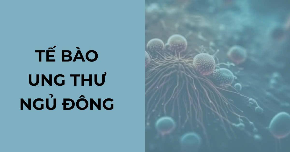 Tế bào ung thư ngủ đông: Vì sao cần "đánh thức" để điều trị?