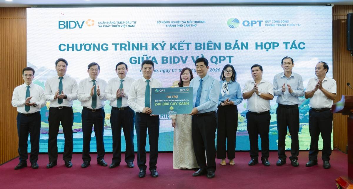 BIDV và QPT hợp tác trồng 240.000 cây xanh tại Đồng bằng sông Cửu Long
