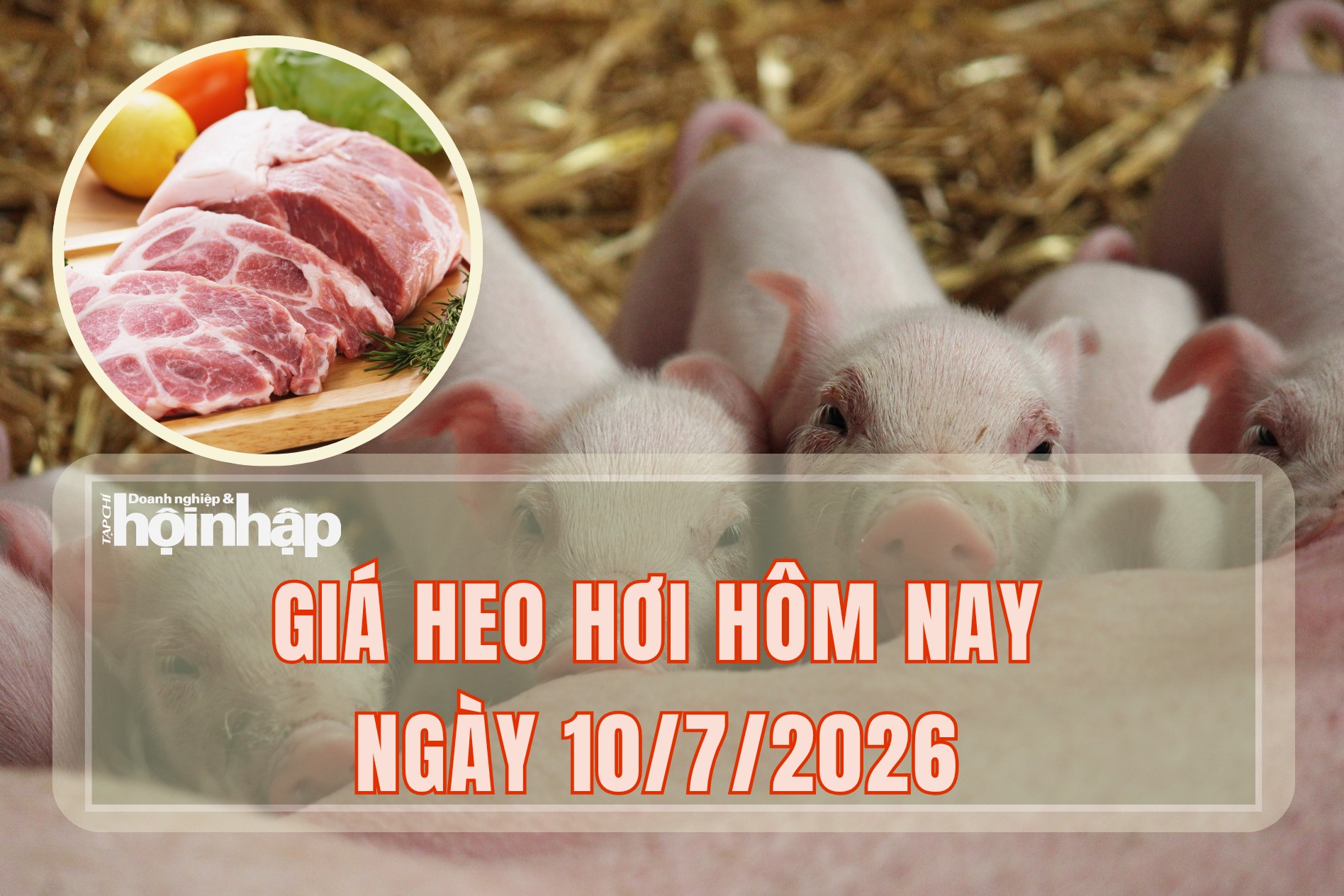 Giá heo hơi hôm nay 10/7/2026: Đi ngang trên cả 3 miền