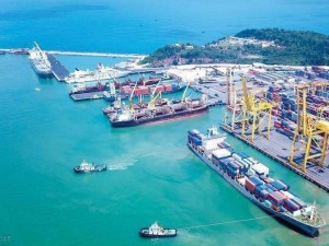 Việt Nam quy hoạch nâng cấp 4 địa phương lên cảng biển đặc biệt tầm nhìn 2050