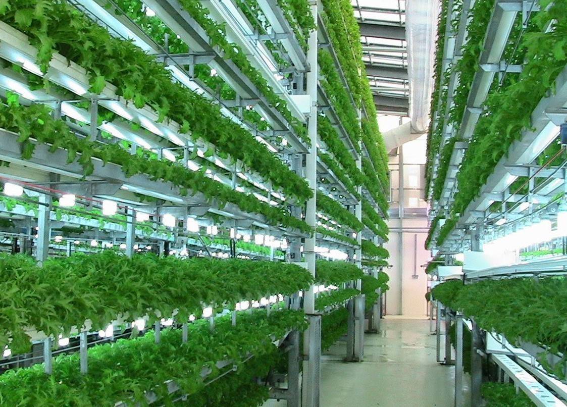 Khu nông nghiệp công nghệ cao phải đáp ứng 6 điều kiện  Nghị định 263 có hiệu lực
