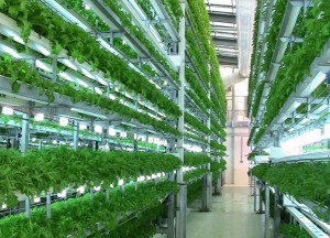 Khu nông nghiệp công nghệ cao phải đáp ứng 6 điều kiện  Nghị định 263 có hiệu lực