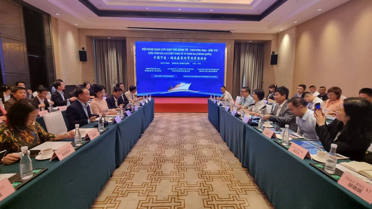 Gia Lai tìm kiếm dòng vốn công nghệ cao, logistics và công nghiệp xanh từ Trung Quốc