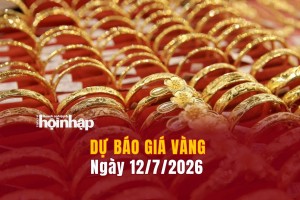 Dự báo giá vàng 12/7: Giá vàng nhẫn, vàng miếng có xu hướng giảm mạnh
