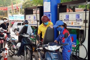 Thanh tra Chính phủ thanh tra diện rộng thị trường xăng dầu