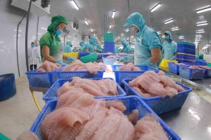 Xuất khẩu cá tra sang Ả Rập Xê Út tăng tốc, mở rộng dư địa tại thị trường Trung Đông
