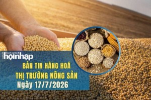 Thị trường nhóm nông sản 17/7/2026: Giá lúa mì, ngô và đậu tương đồng loạt tăng