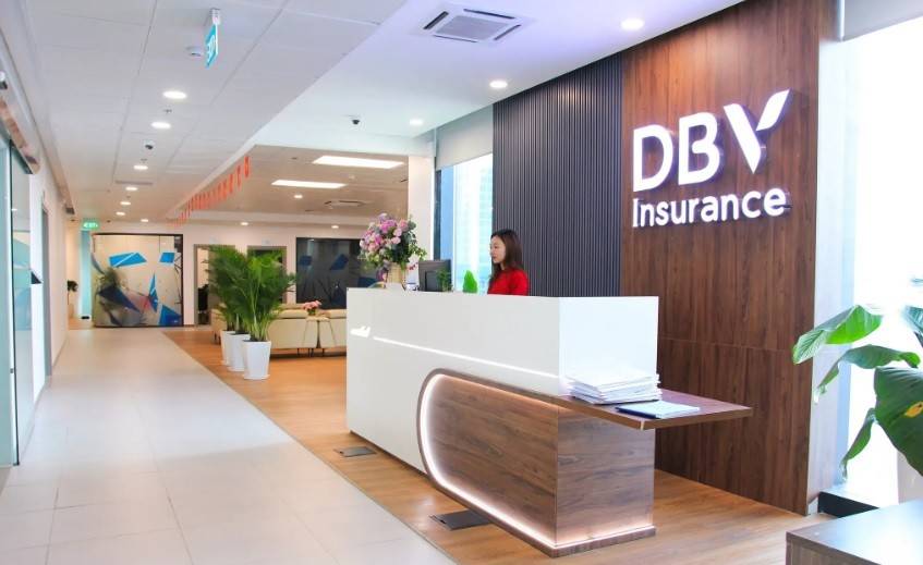 DBV được thành lập theo Quyết định số 49 GP/KDBH ngày 23/04/2008 của Bộ Tài chính, dưới tên gọi ban đầu là Tổng công ty Cổ phần Bảo hiểm Hàng không (VNI). 