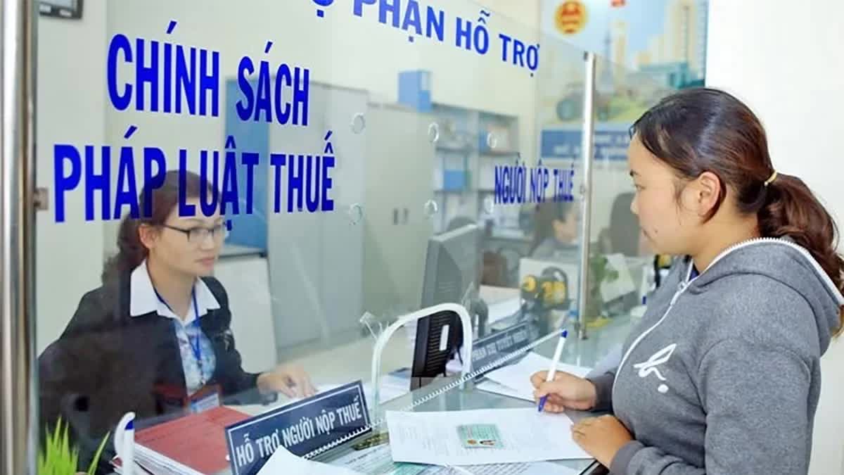 Lâm Đồng triển khai chiến dịch làm sạch mã số thuế, xử lý doanh nghiệp 