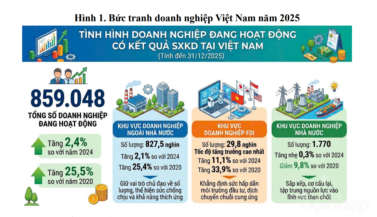 Tổng điều tra kinh tế 2026: Doanh nghiệp dẫn dắt tăng trưởng, kinh tế cá thể lần đầu giảm lao động