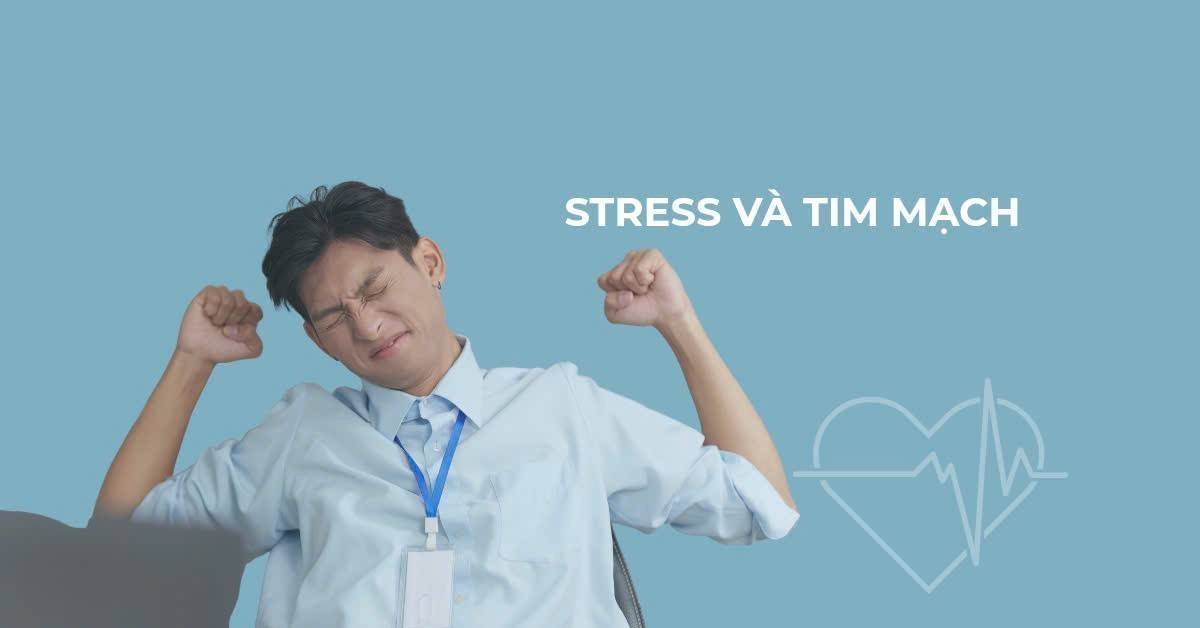 Căng thẳng và tim mạch: Vì sao kiểm soát stress giúp bảo vệ trái tim?