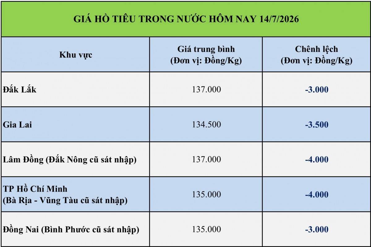 Giá tiêu hôm nay 14/7/2026: