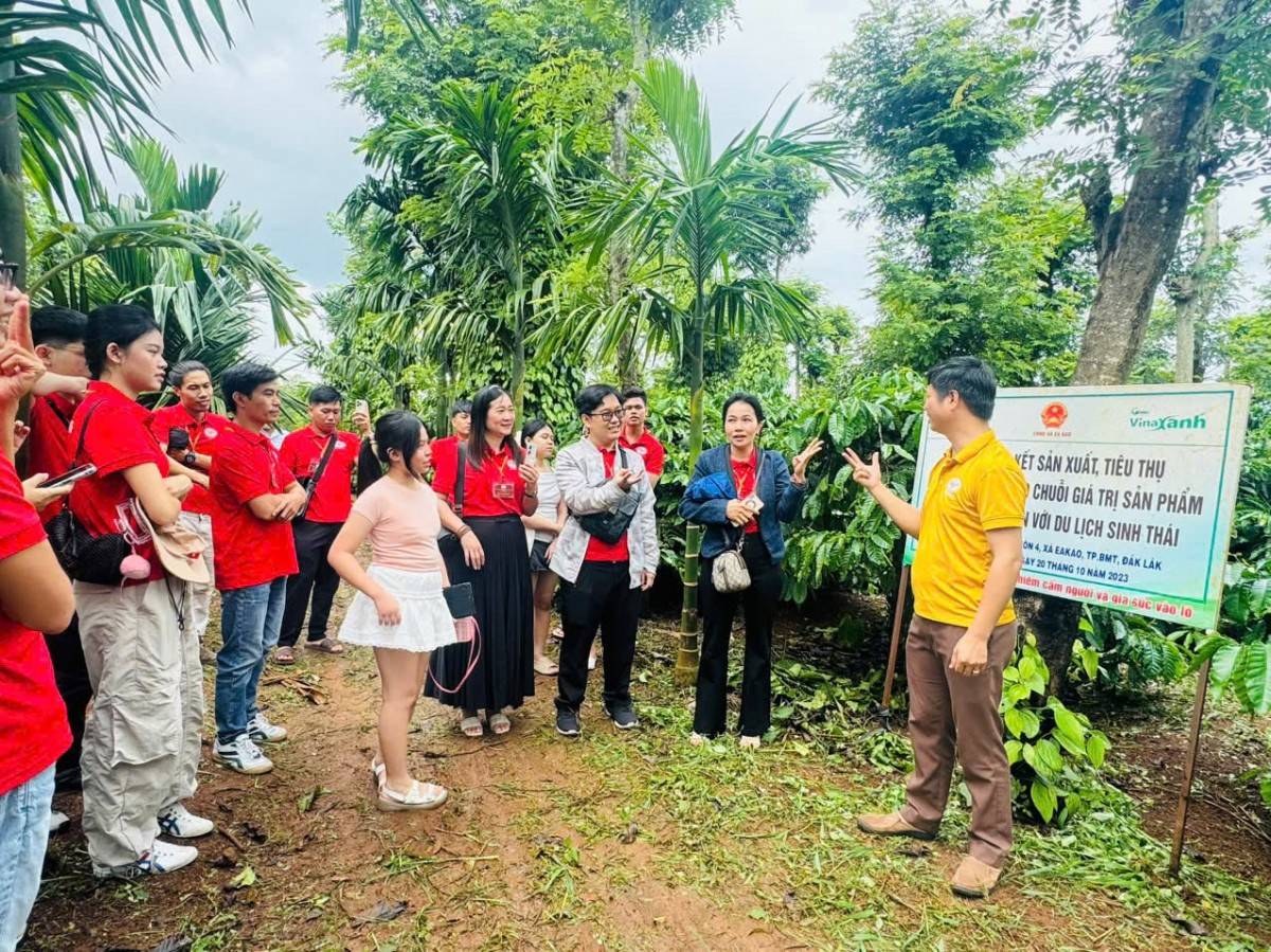 Đắk Lắk: Trải nghiệm di sản cà phê giữa lòng Buôn Ma Thuột