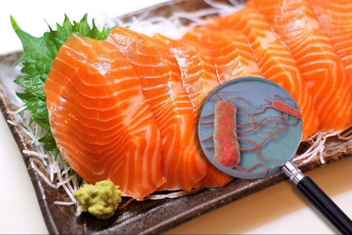 EU siết kiểm soát vi khuẩn Listeria: Doanh nghiệp thủy sản Việt cần chuẩn bị gì?