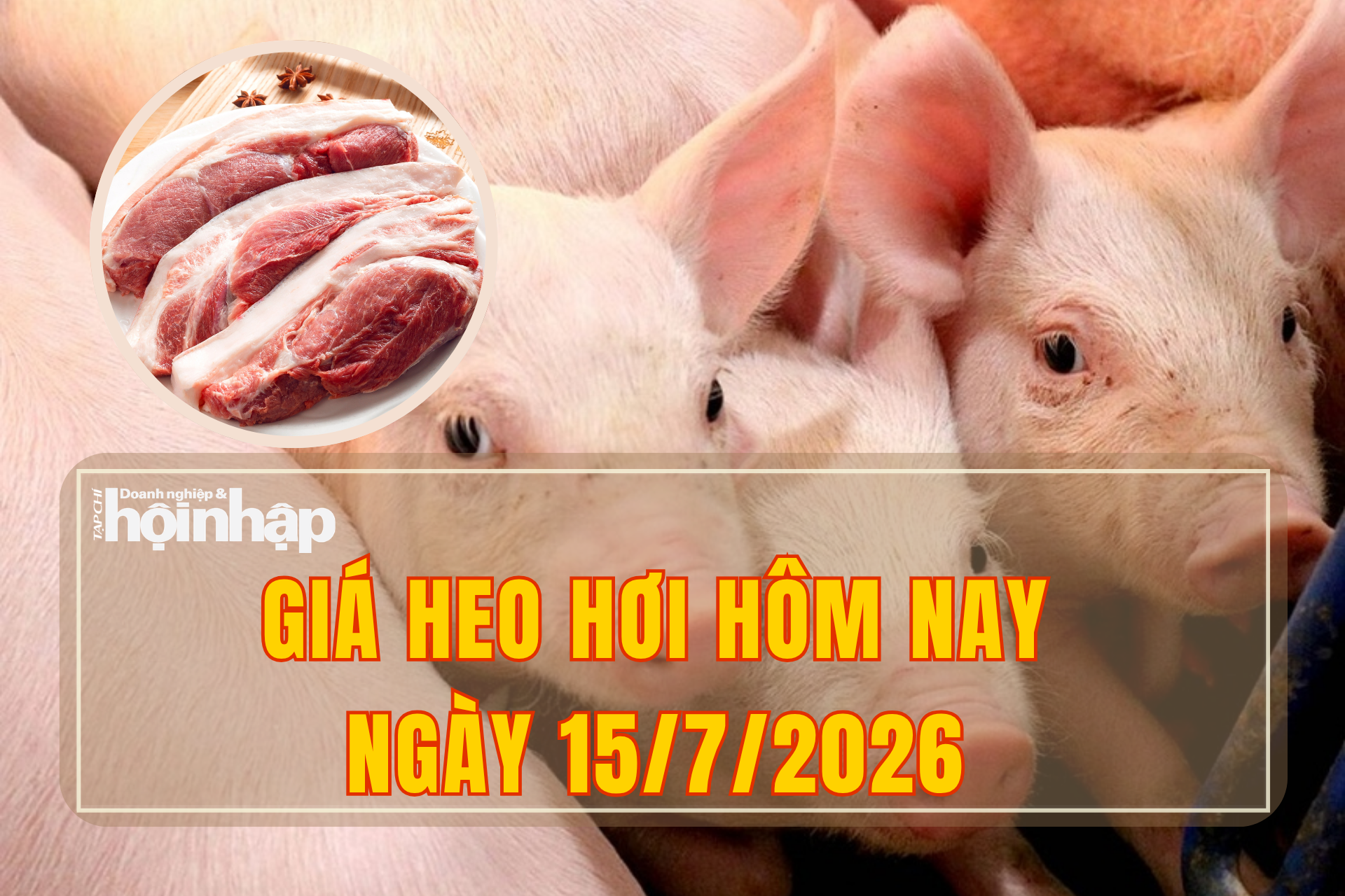  Giá heo hơi hôm nay 15/7/2026: Heo hơi khu vực miền Nam tiếp đà tăng giá