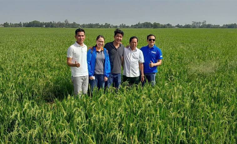 Hoạt động sản xuất của doanh nghiệp và hợp tác xã tại Cà Mau