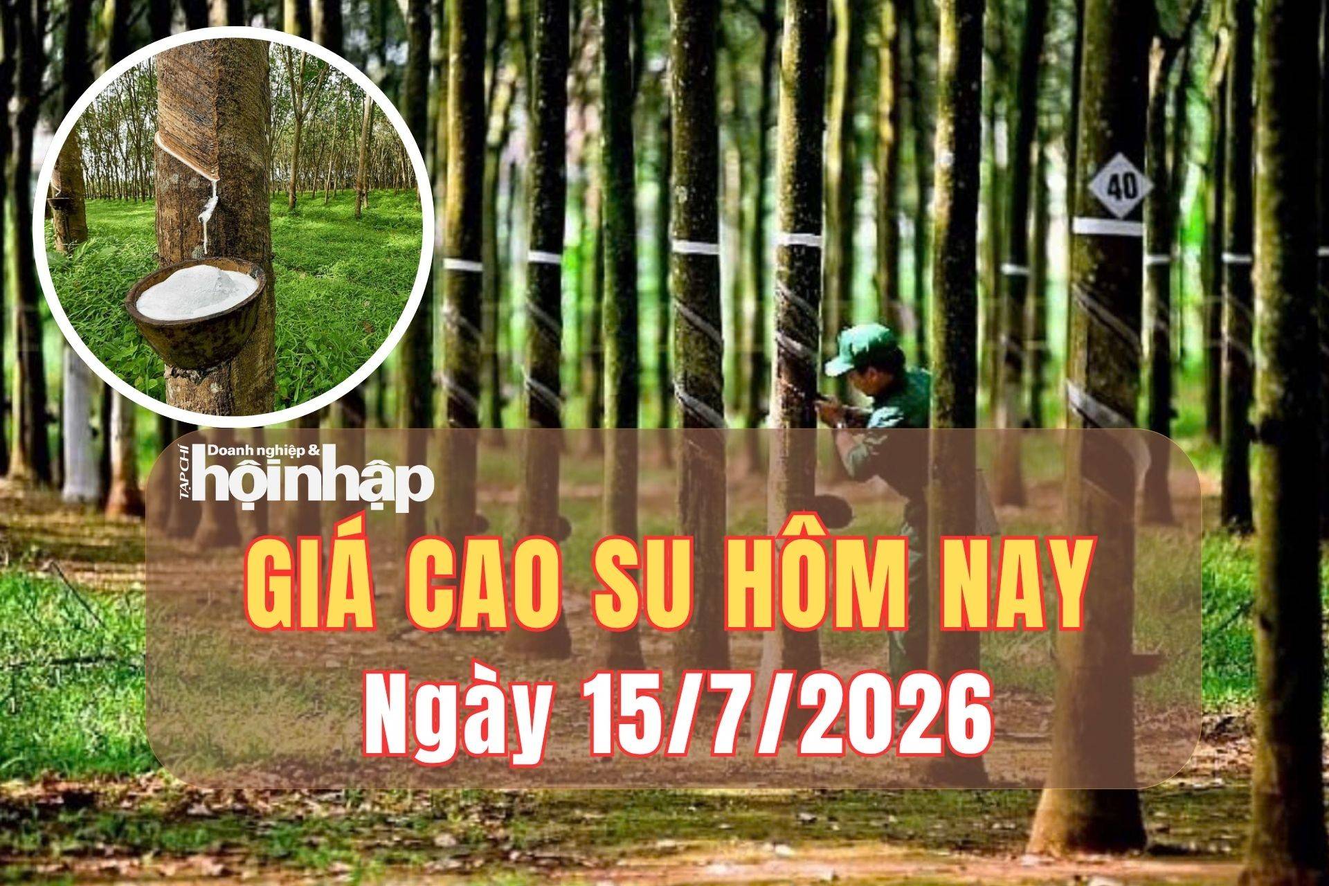 Giá cao su hôm nay 14/7/2026: Thế giới trái chiều, trong nước giảm nhẹ