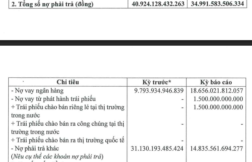 Hơn 20.000 tỷ đồng dư nợ của Đại Quang Minh đến từ đâu?