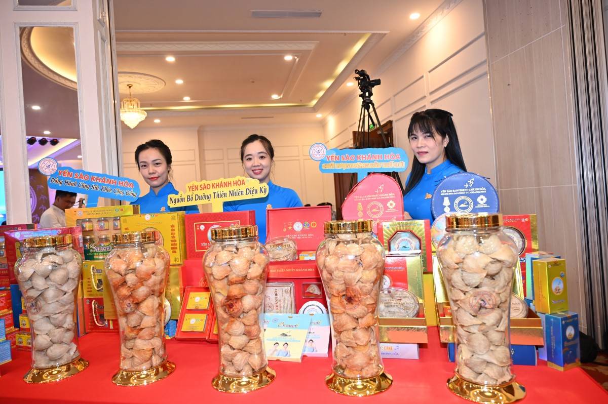 Bảo tồn chim yến, nền tảng phát triển bền vững thương hiệu Yến sào Khánh Hòa